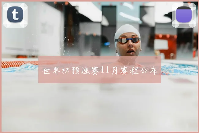 世界杯预选赛11月赛程公布