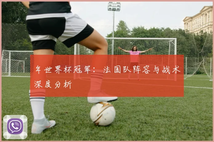 年世界杯冠军：法国队阵容与战术深度分析