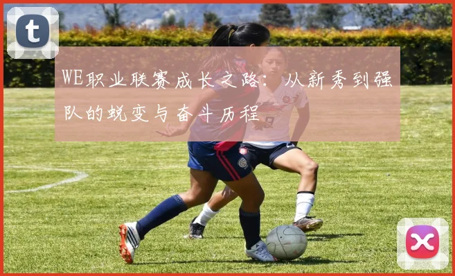 WE职业联赛成长之路:从新秀到强队的蜕变与奋斗历程