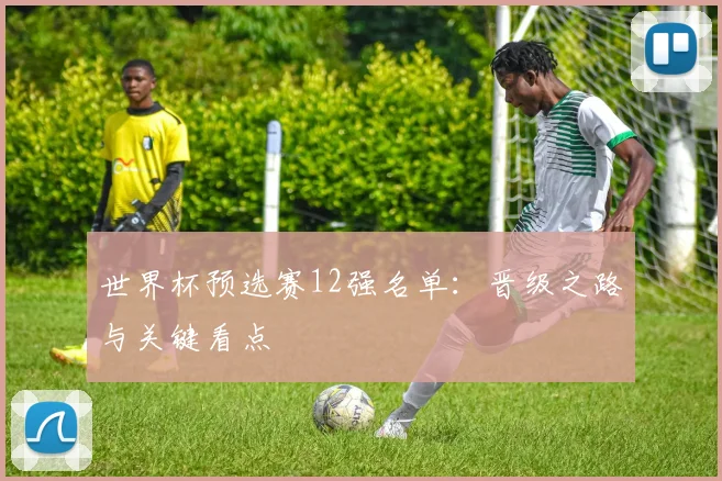 世界杯预选赛12强名单:晋级之路与关键看点