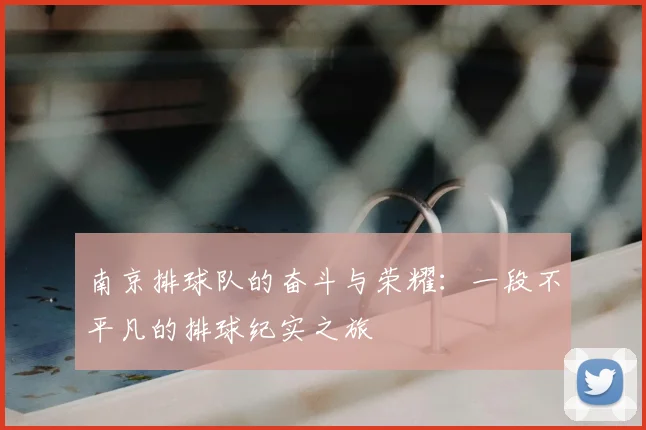 南京排球队的奋斗与荣耀：一段不平凡的排球纪实之旅
