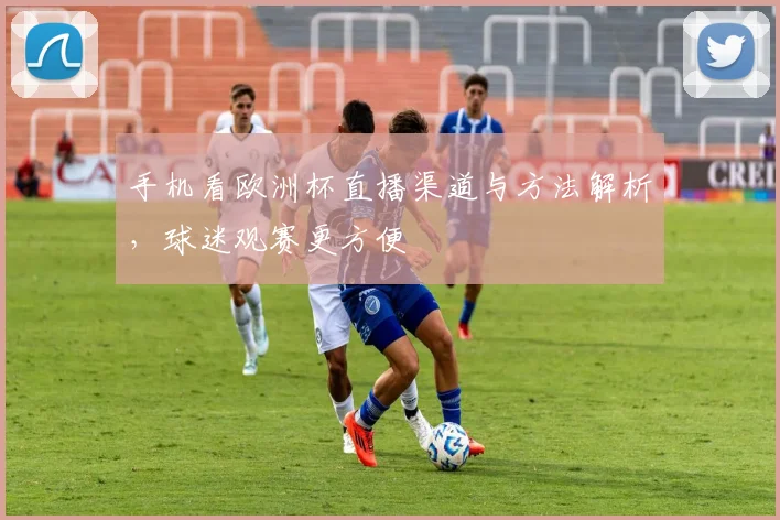 手机看欧洲杯直播渠道与方法解析，球迷观赛更方便