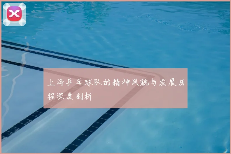 上海乒乓球队的精神风貌与发展历程深度剖析