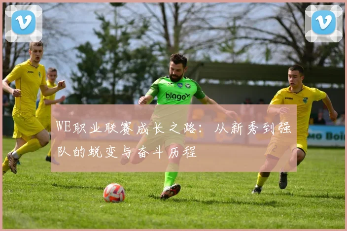 WE职业联赛成长之路：从新秀到强队的蜕变与奋斗历程