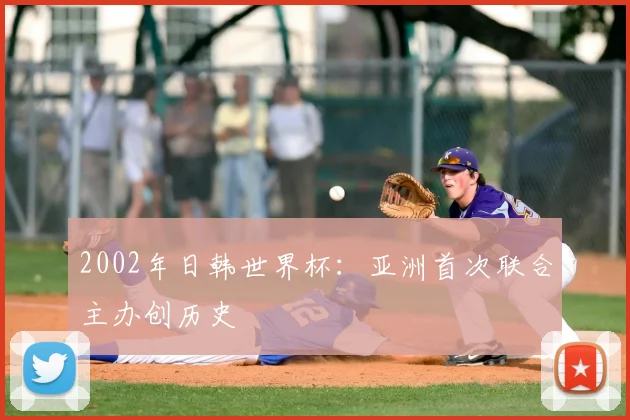 2002年日韩世界杯：亚洲首次联合主办创历史