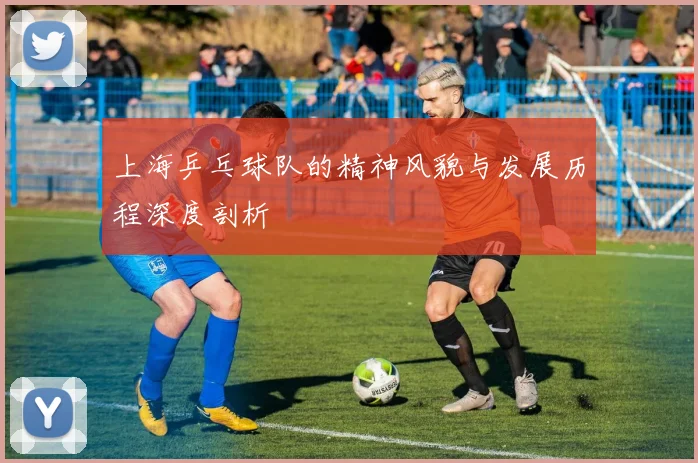 上海乒乓球队的精神风貌与发展历程深度剖析