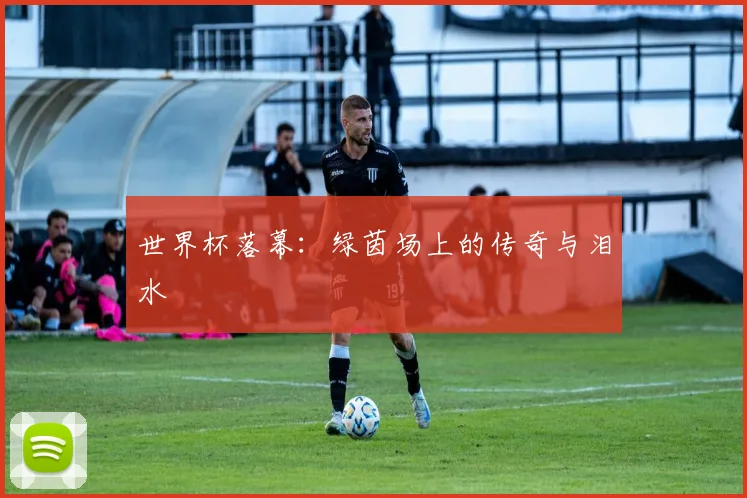 世界杯落幕：绿茵场上的传奇与泪水